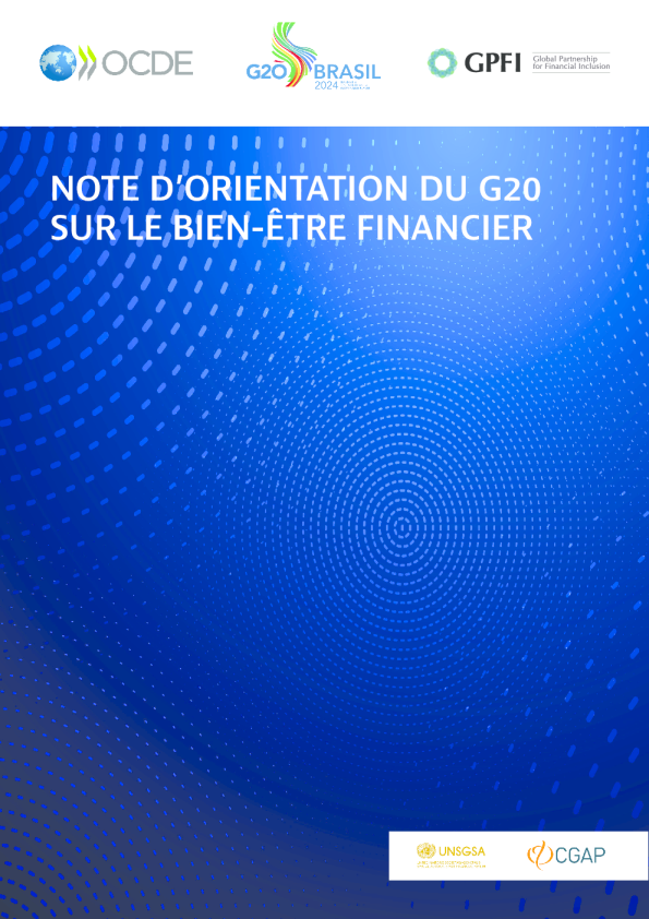 二十国集团关于两年期融资的指导说明