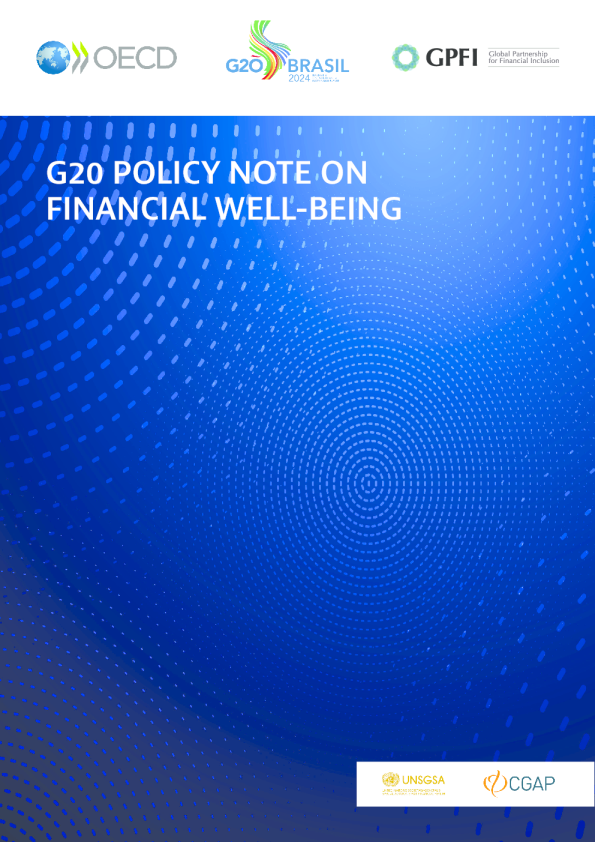 G20金融健康政策说明