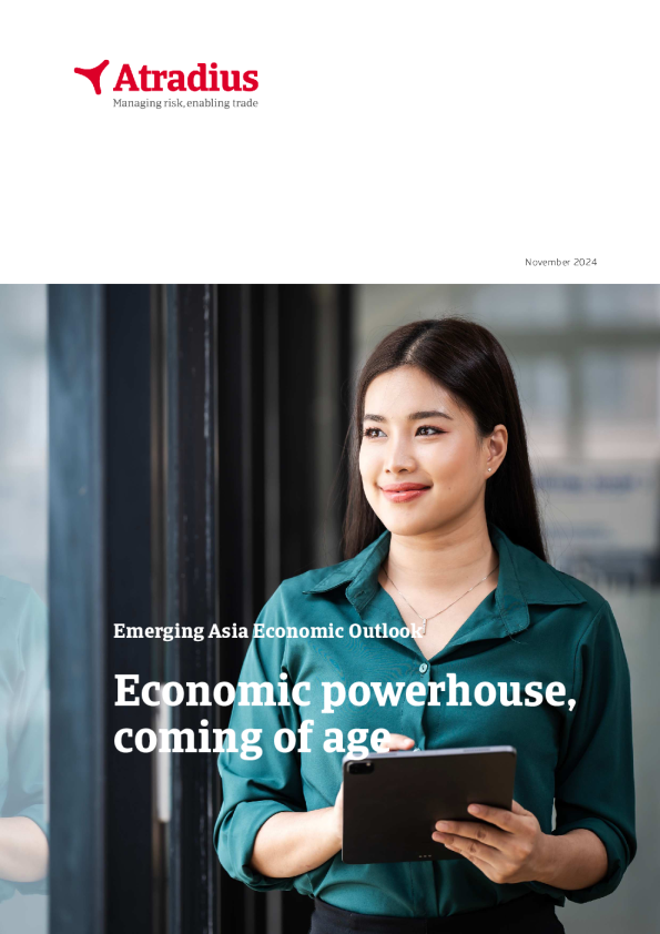 新兴亚洲区域经济展望-2024年11月