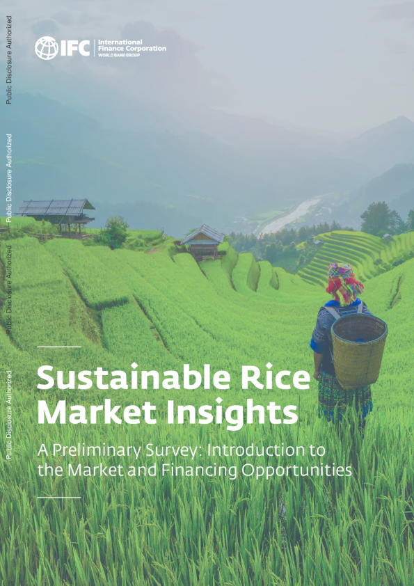 可持续稻米市场洞察