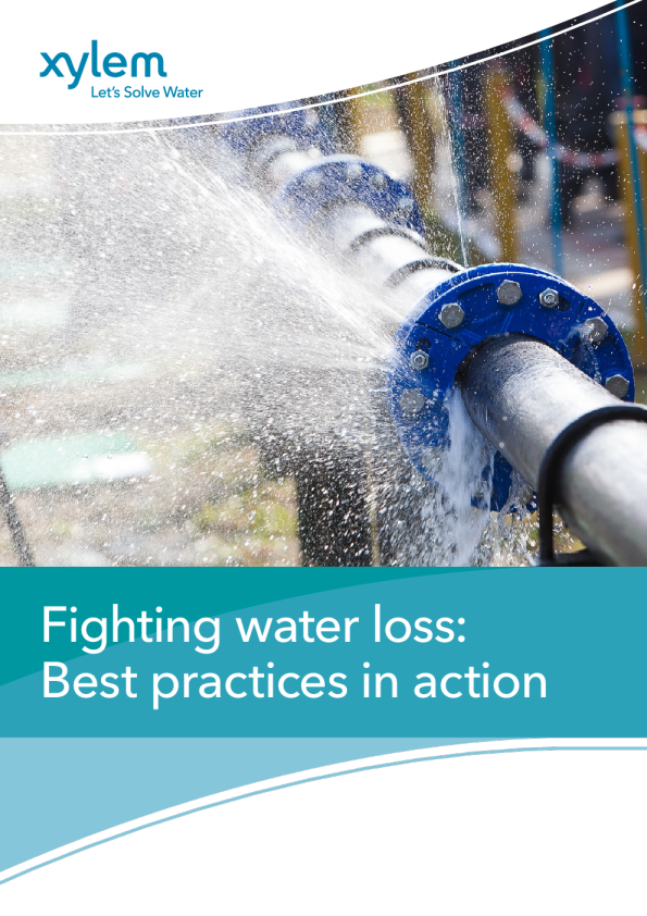 抗水流失 ： 减少非收入用水的最佳实践