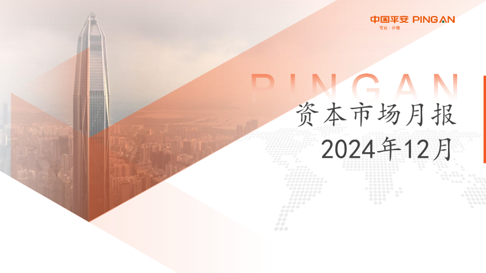 资本市场月报2024年12月