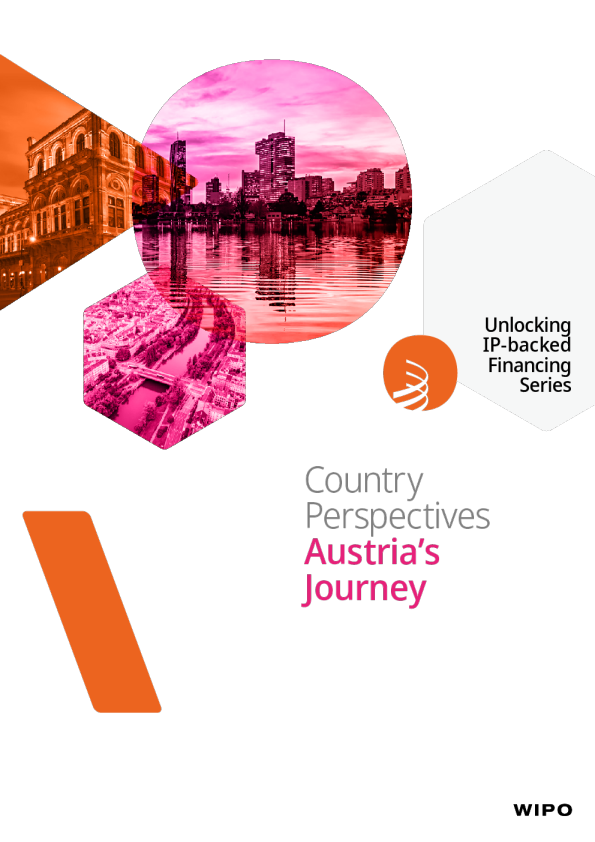 国家视角 ： 奥地利的旅程