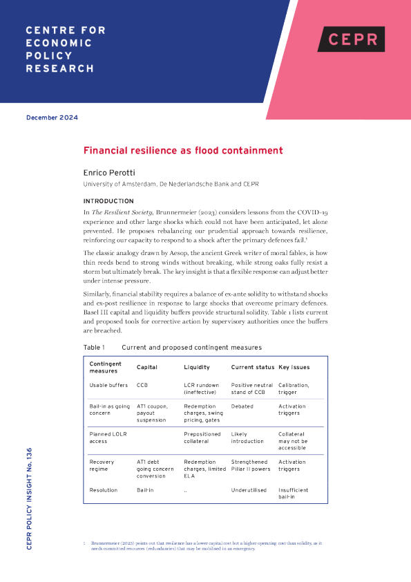 金融弹性作为防洪措施