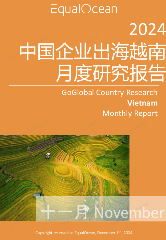 2024中国企业出海越南月度研究报告