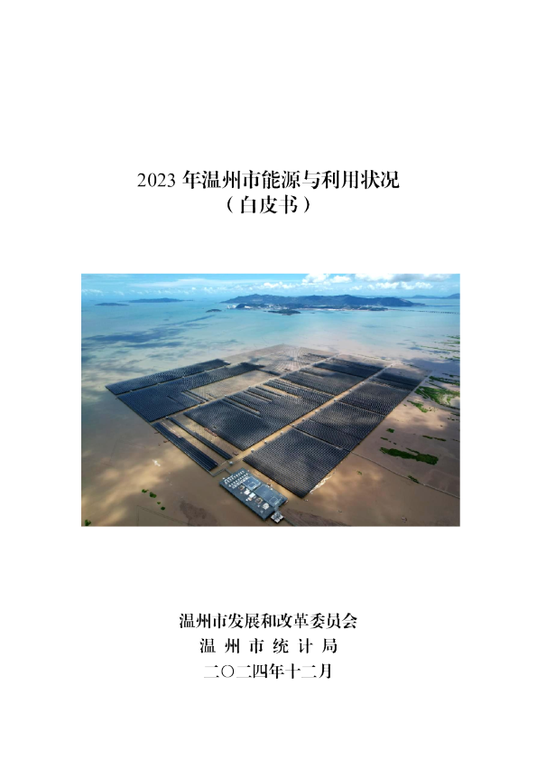 2023 年温州市能源与利用状况白皮书