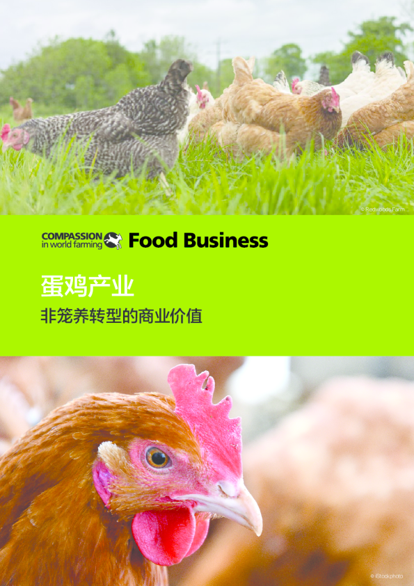 蛋鸡产业非笼养转型的商业价值