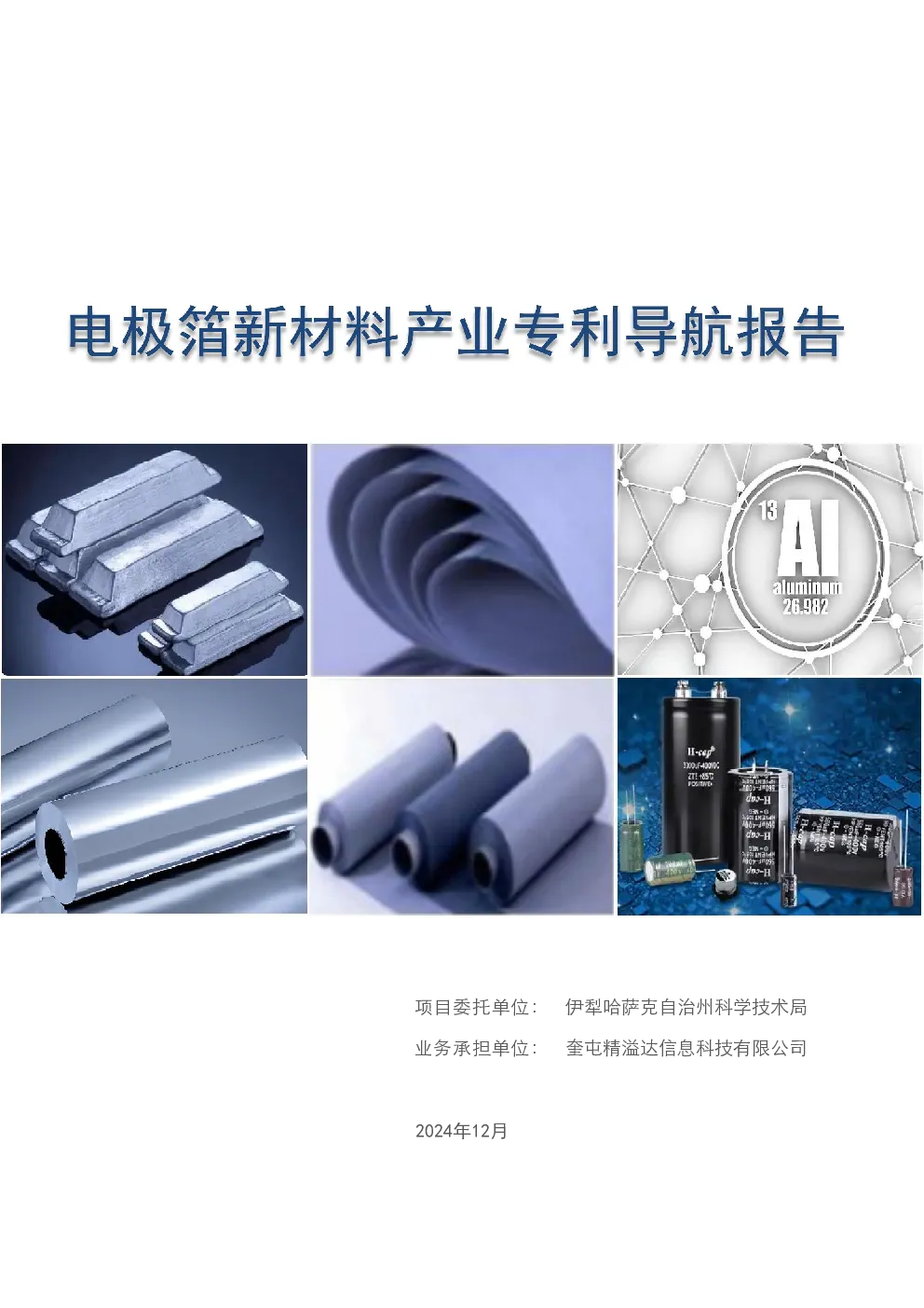 电极箔新材料产业专利导航报告
