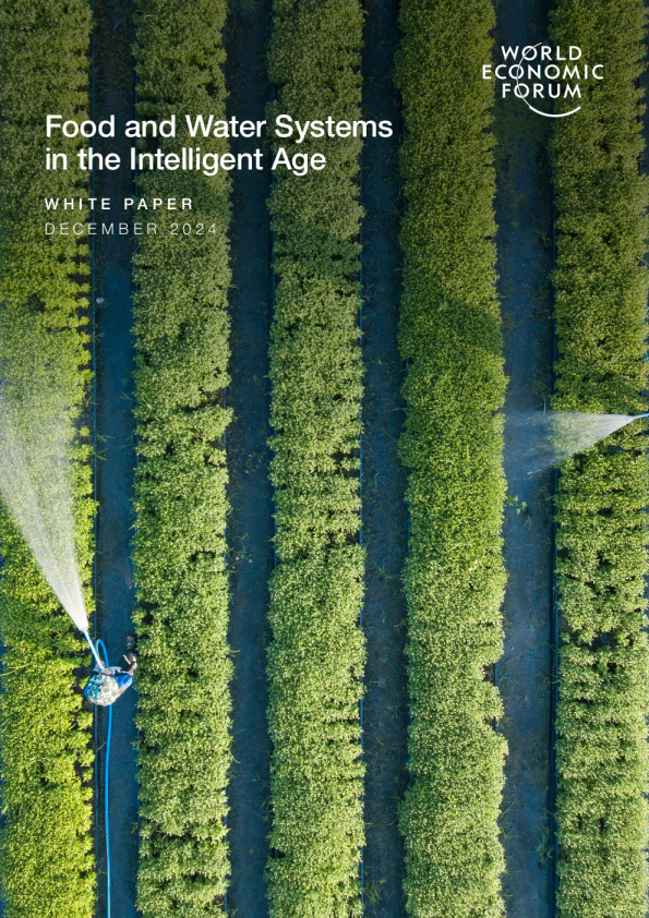 智能时代的食品和水系统