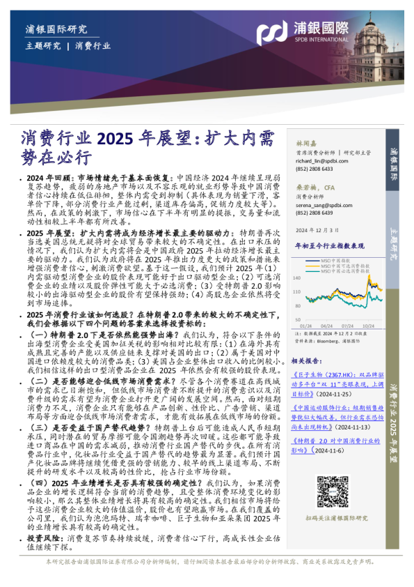 消费行业2025年展望：扩大内需势在必行