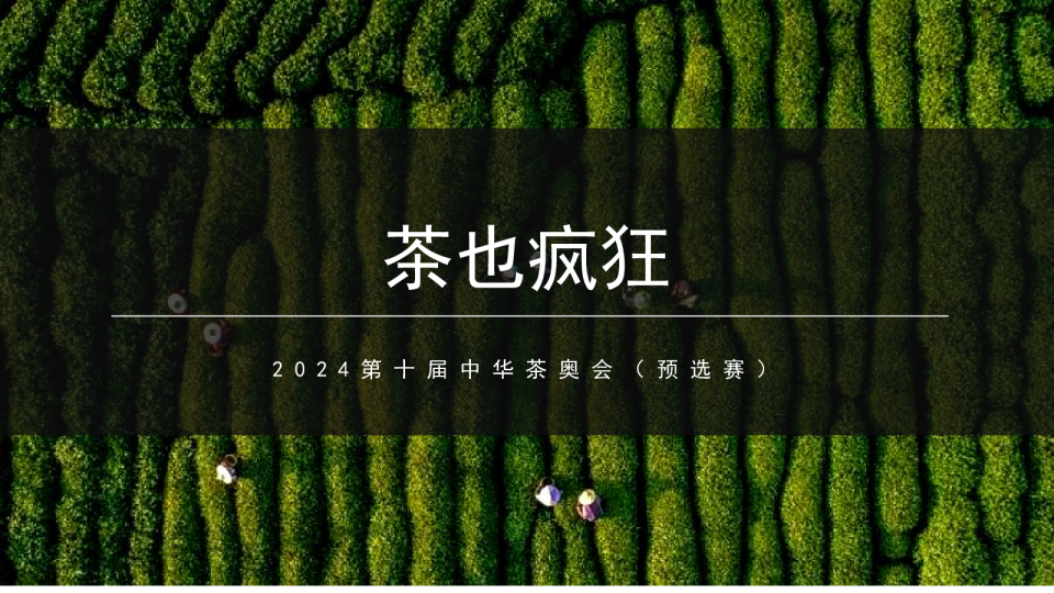 2024第十届中华茶奥会“茶也疯狂”活动策划