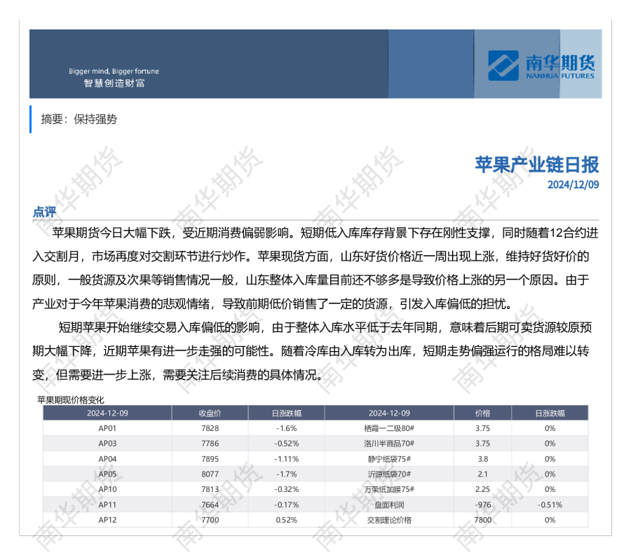 南华苹果日报20241209