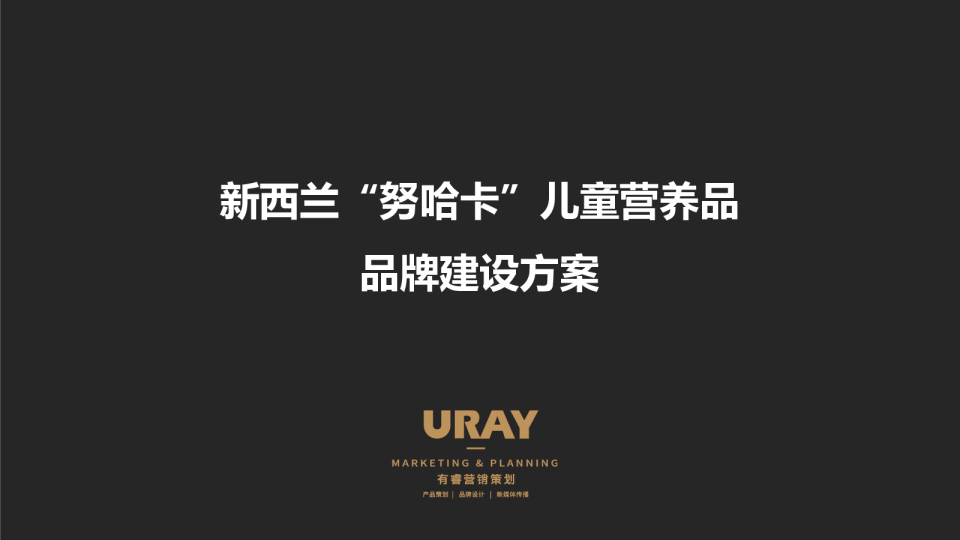 2024新西兰儿童营养品品牌方案