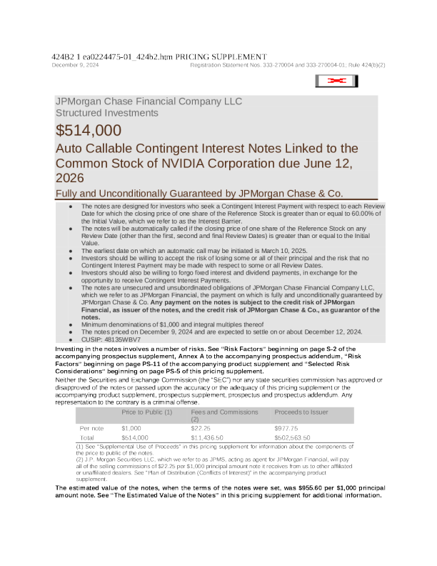 摩根大通美股招股说明书(2024-12-11版)