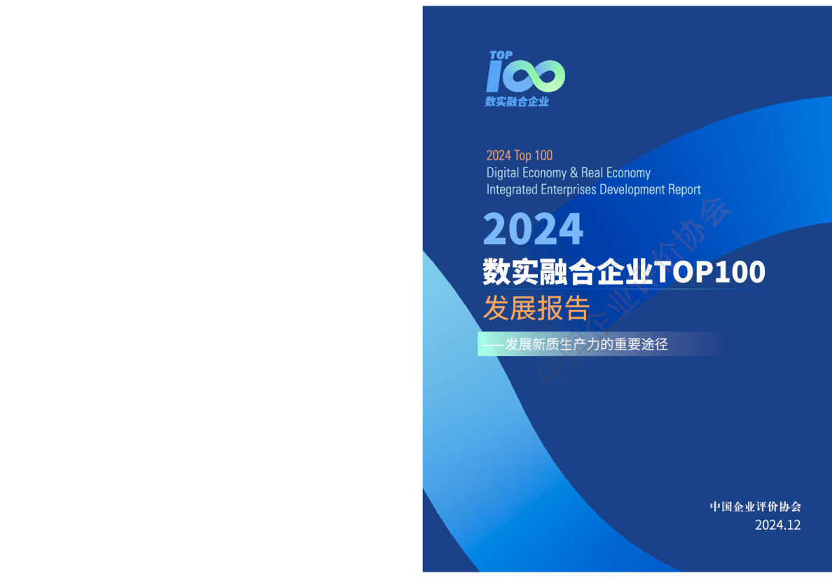 中国企业评价协会：2024年数实融合企业TOP100发展报告