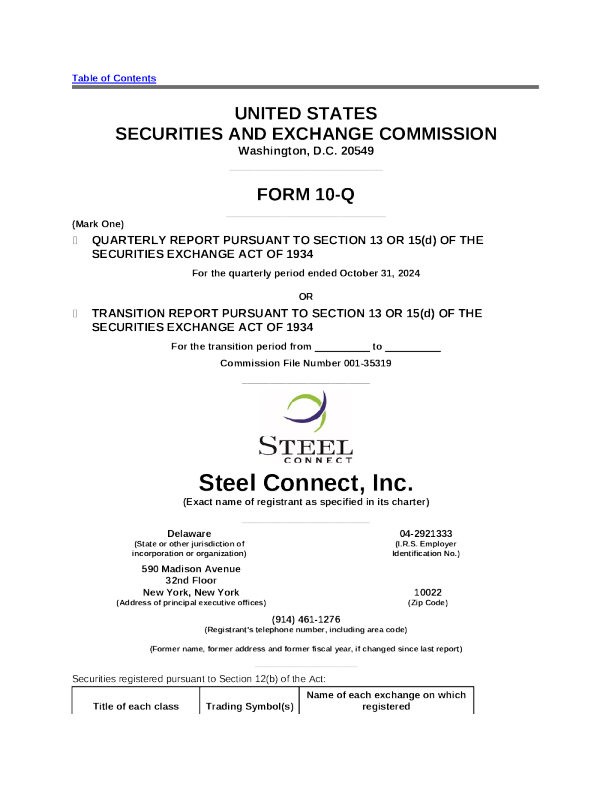 Steel Connect Inc 2024 年度年度报告