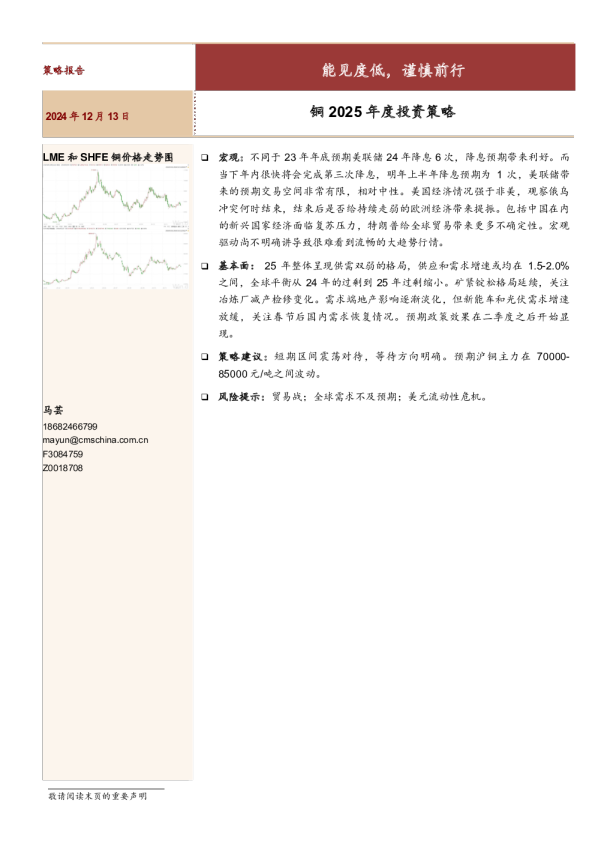 铜2025年度投资策略：能见度低，谨慎前行