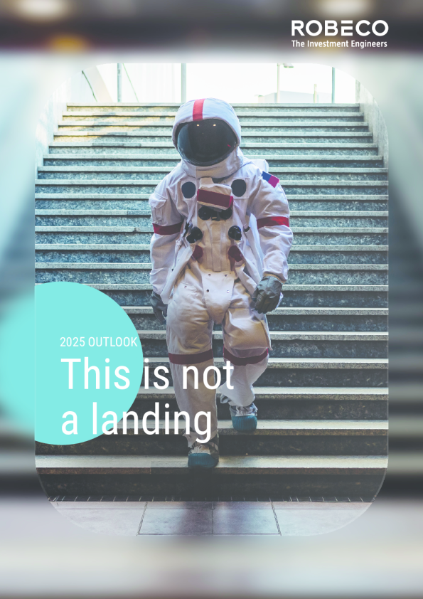 2025年展望报告：着陆未至