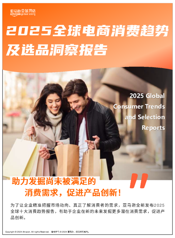 2025全球电商消费趋势及选品洞察报告