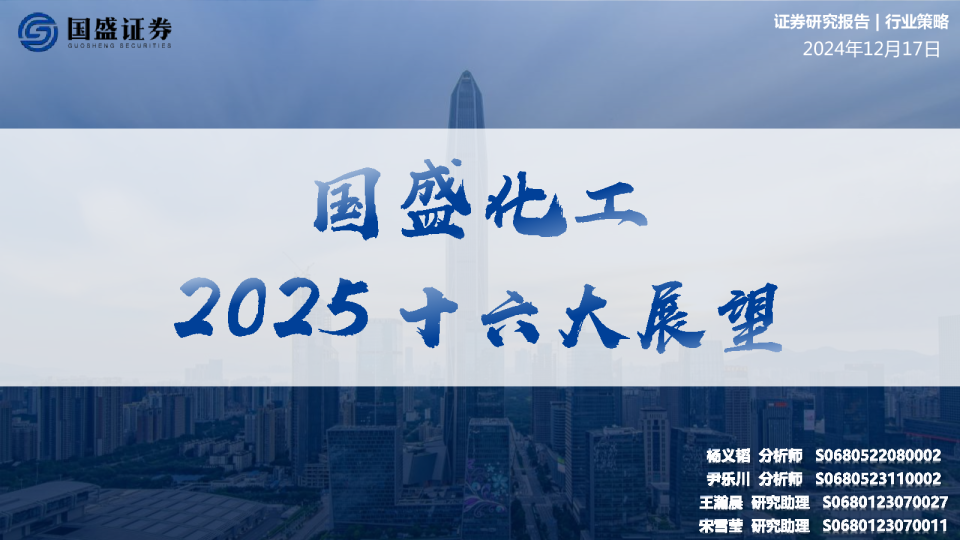 国盛化工2025十六大展望