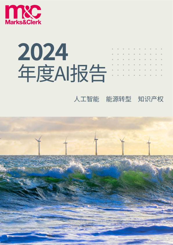 2024年度AI报告