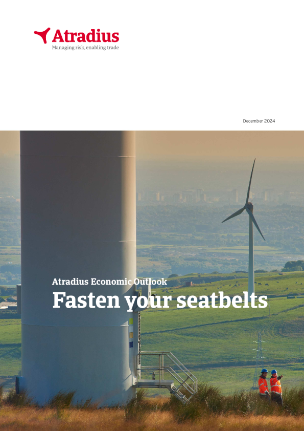 经济展望-2024年12月