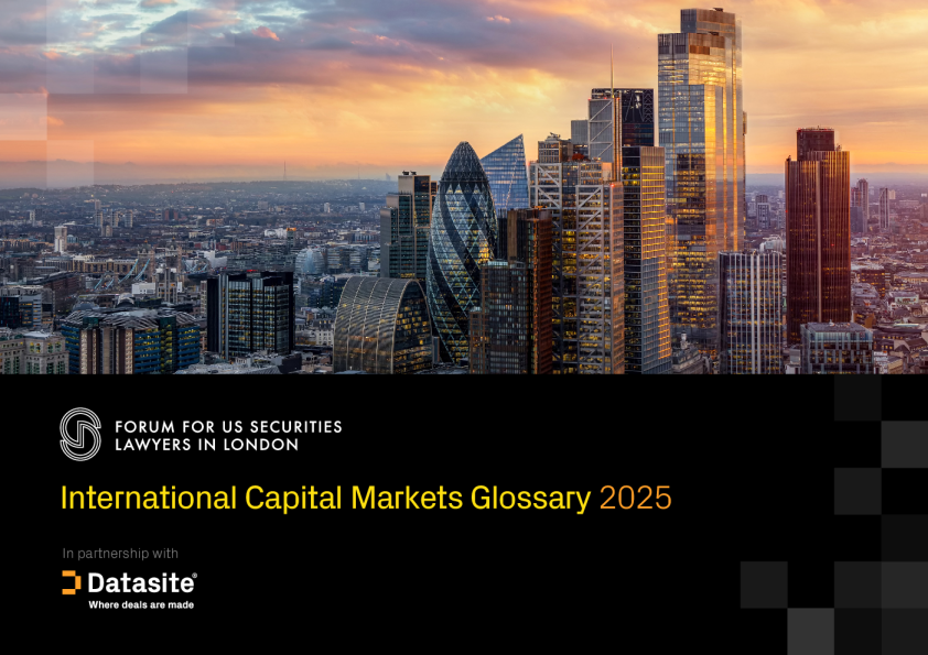 国际资本市场术语词典 2025