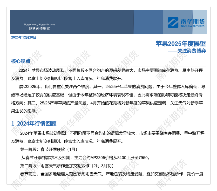 2025苹果年度展望