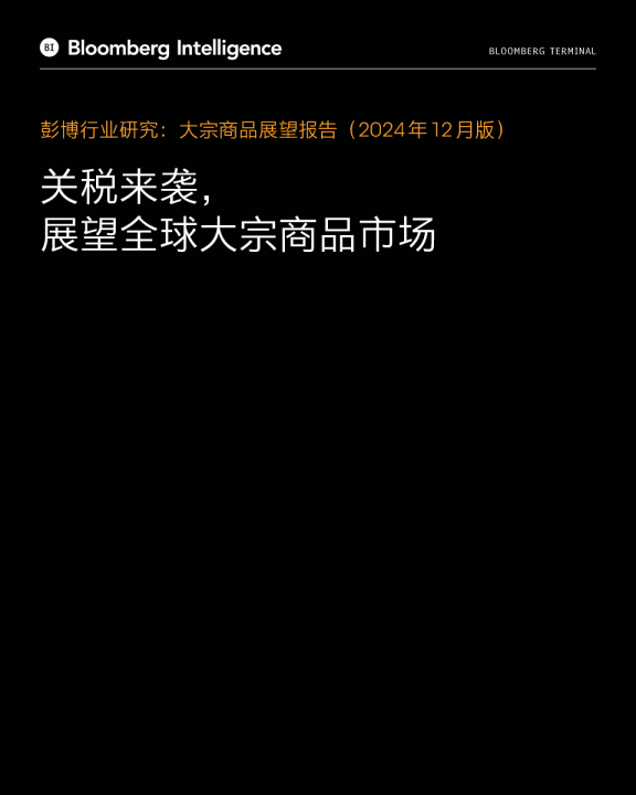 大宗商品展望报告（2024年12月版）