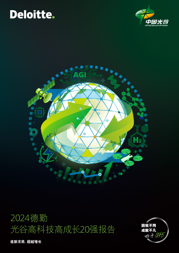 2024年光谷高科技高成长20强报告