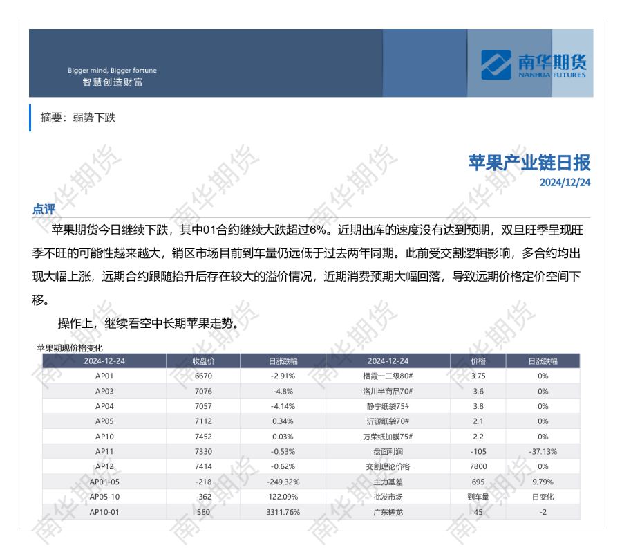南华苹果日报20241224