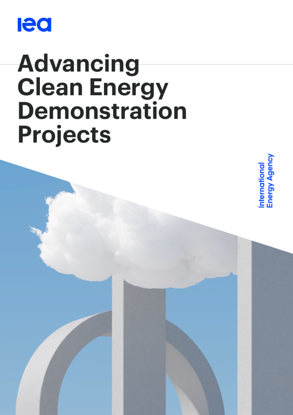 2024年推进清洁能源示范项目报告