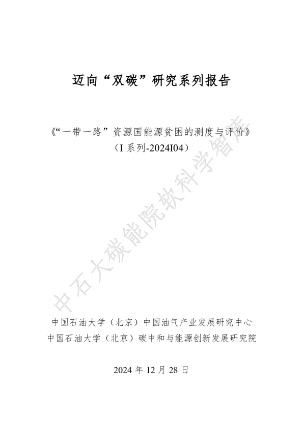 迈向“双碳”研究系列报告：《“一带一路”资源国能源贫困的测度与评价》