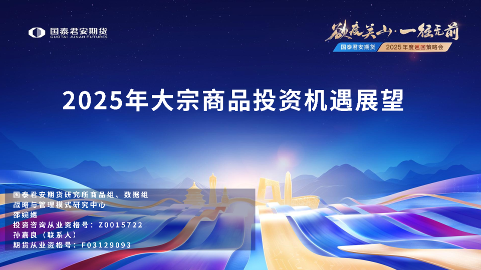 2025年大宗商品投资机遇展望