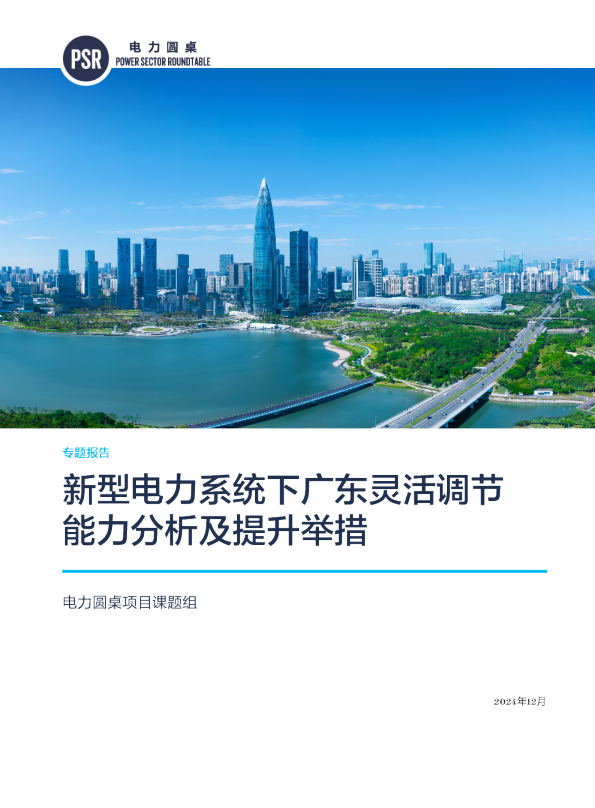 新型电力系统下广东灵活调节能力分析及提升举措