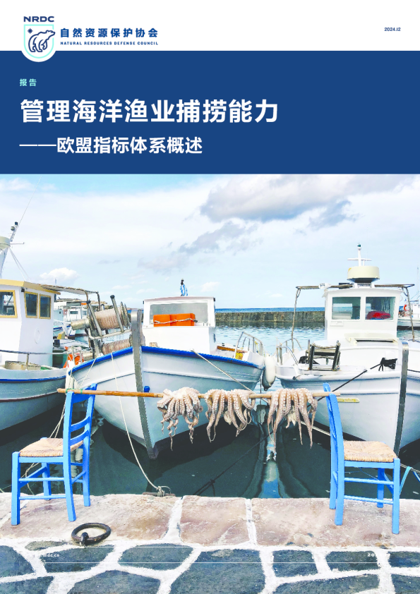 2024年管理海洋捕捞能力-欧盟指标体系概述报告
