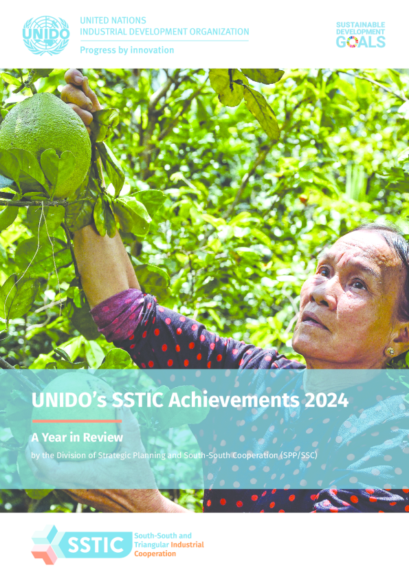 2024年工发组织SSTIC成就回顾