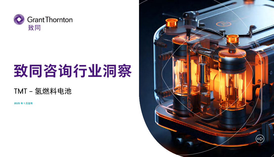 致同咨询行业洞察 TMT - 氢燃料电池