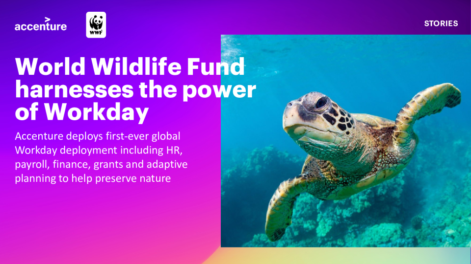 世界野生动物基金会利用Workday的力量