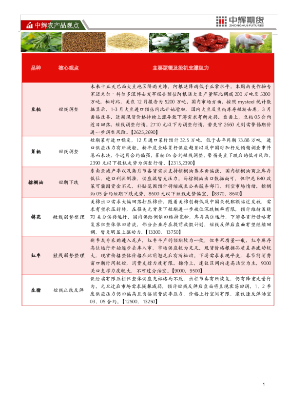 中辉农产品观点