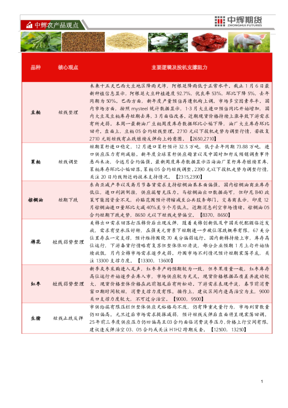 中辉农产品观点