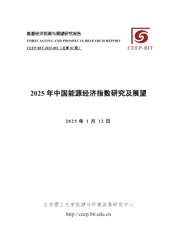 2025年中国能源经济指数研究及展望