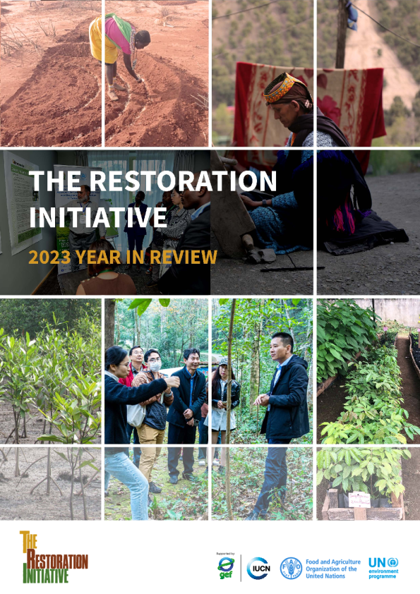 修复计划：2023年回顾