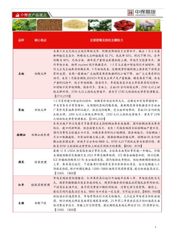 中辉农产品观点