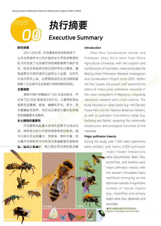 北京传粉网络观察报告（2021-2023）