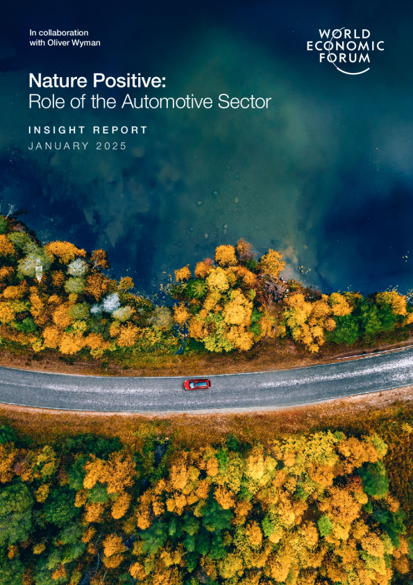 推动汽车行业发展的自然积极战略