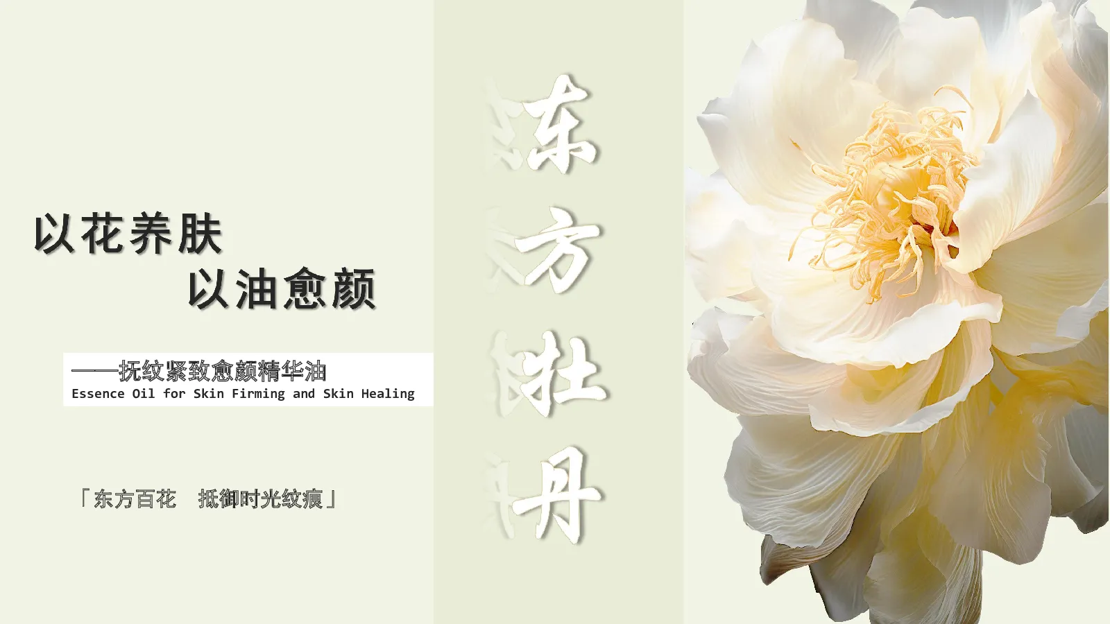 东方牡丹精华油Brief