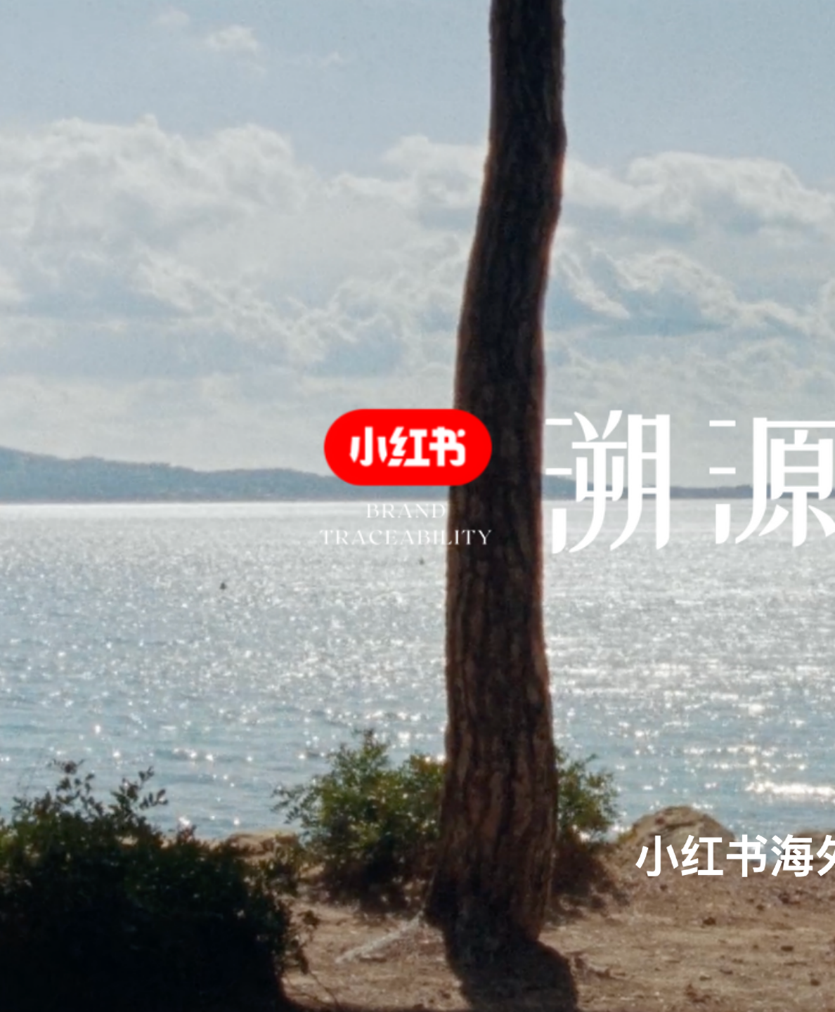 2024小红书溯源看世界IP招商