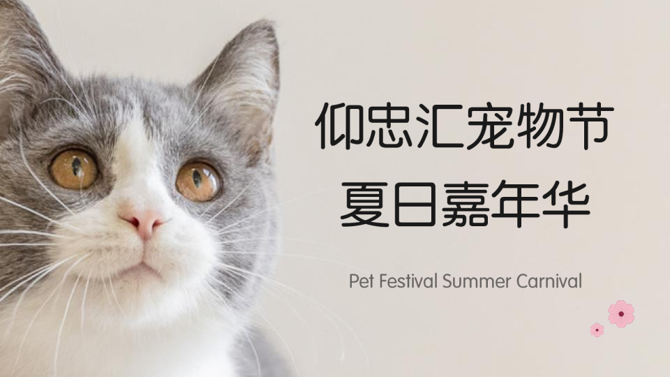 商场地产宠物节夏日市集嘉年华活动方案