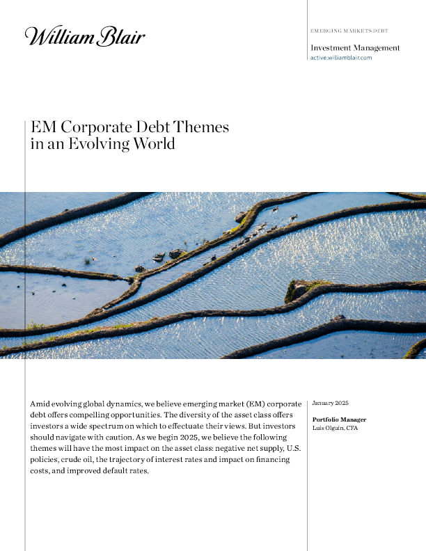 不断发展的世界中的 EM 公司债务主题